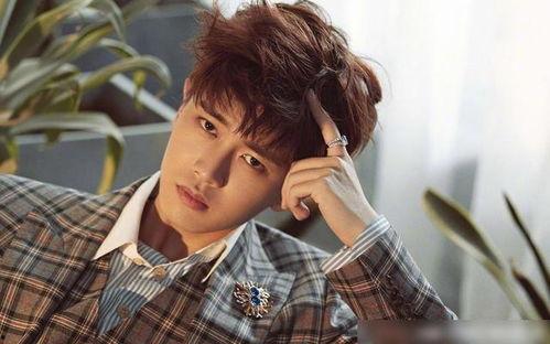 娱乐吃瓜君任嘉伦,娱乐吃瓜界的“瓜王”传奇  第1张